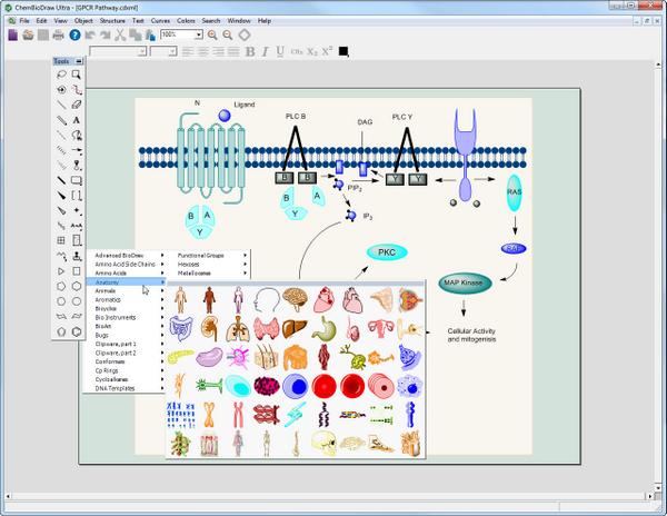 Chemdraw pro 12 serial number free